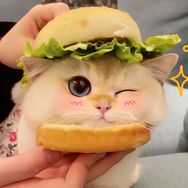 金三福贸易商行抖音号头像