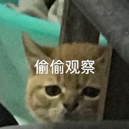 猪太白抖音达人头像