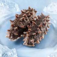 参老友海参「工厂直发」抖音号头像