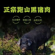 康康生鲜抖音达人头像