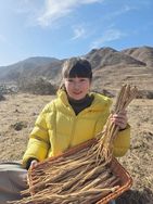 岷县岷归源滋补养生抖音达人头像