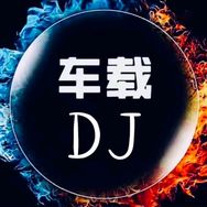 车载DJ音乐（车载U盘）抖音达人头像