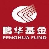 鹏华基金抖音达人头像