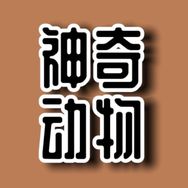 神奇动物抖音达人头像