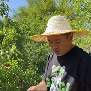 乡村老刘（回村记）抖音达人头像