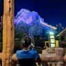 不精致园艺抖音达人头像