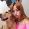 金毛_艾迪抖音达人头像