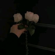 聚优优品之家抖音号头像