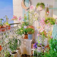 四时花语抖音达人头像