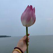 幸福一家人~周文抖音达人头像