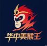 华中美猴王抖音号头像