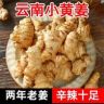 姜太公抖音达人头像