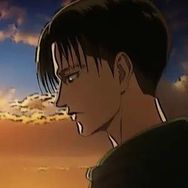 白鴿.抖音达人头像