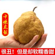 呱呱农场抖音号头像