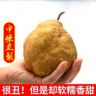 呱呱农场抖音号头像