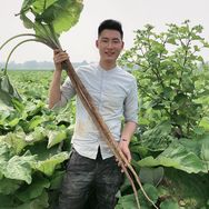 大盛植物说抖音达人头像