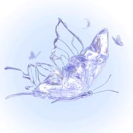 野蛮生长的butterfly抖音达人头像