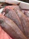 汐汐海鲜店抖音达人头像