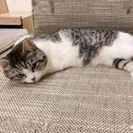 月朋贸易抖音达人头像