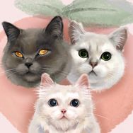 桃子的呸呸猫🐱抖音达人头像