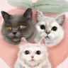 桃子的呸呸猫🐱抖音达人头像