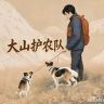 大山⛰️抖音达人头像