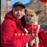 二牛和流浪狗抖音达人头像