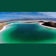 盐腌爱生活🍑抖音号头像