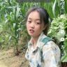 云南巧儿抖音达人头像