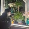 海苔蛋卷（酸辣肥牛味）抖音达人头像