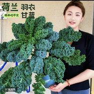 花令时花果园抖音达人头像