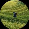 富龟有鱼抖音达人头像