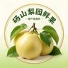 砀山梨园鲜果抖音达人头像