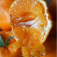 耙耙柑真好吃😋抖音号头像