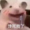 一顿吃五碗抖音达人头像