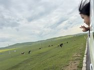 行稳致远进而有为抖音达人头像