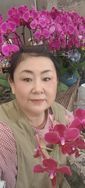 60后芳姐的花园抖音达人头像