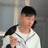 八哥毛毛虫抖音达人头像