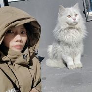 四月家的喵抖音达人头像