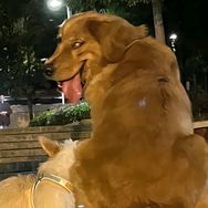 杰西不妙厨房抖音达人头像