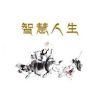 智慧人生抖音达人头像