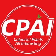 CPAI官方旗舰店抖音达人头像