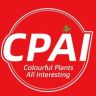 CPAI官方旗舰店抖音达人头像