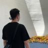 大亮🍉抖音达人头像