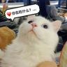 果子爱吃零食抖音达人头像
