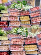 无尽夏花卉抖音号头像