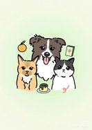 橘子布丁宠物玩具抖音达人头像