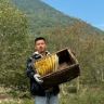 阿福诱蜂养蜂分享抖音达人头像