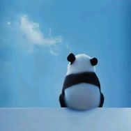 玖月视界抖音达人头像