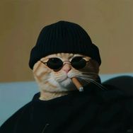 大猫故事抖音达人头像
